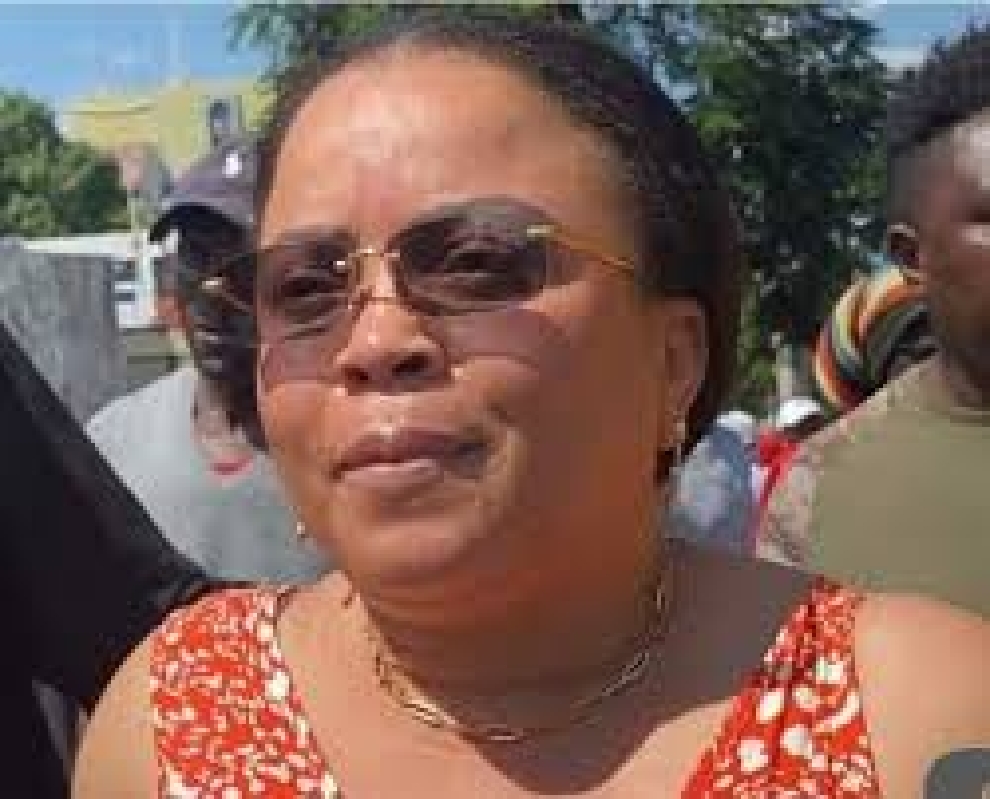 Chassée par les manifestants anti-Ariel, pourquoi Magalie Habitant aurait menti&nbsp;?