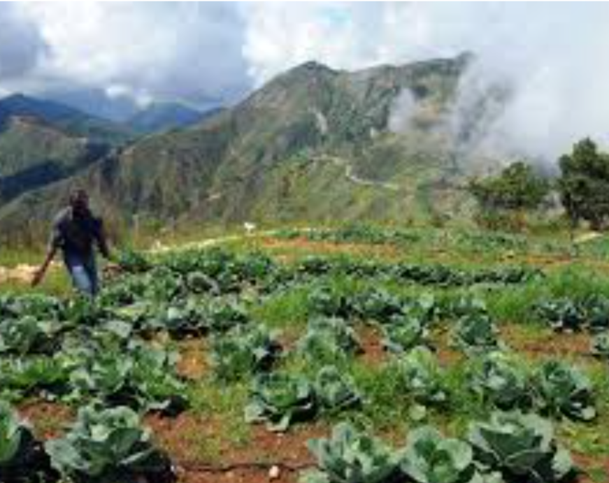 Insécurité: Bellevue La Montagne demande l’intervention des autorités de l’État