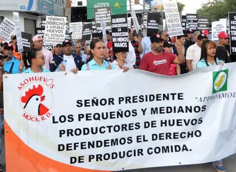 Les producteurs d’œufs dominicains dans la&nbsp;tourmente