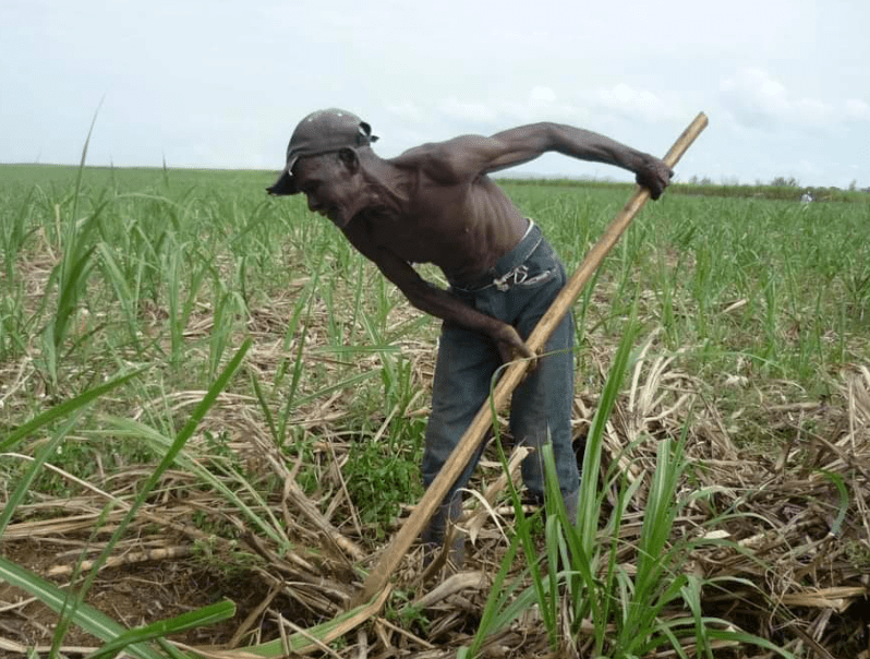 L’Etat dominicain fait tout pour ségréguer les Haïtiens, dixit une organisation des droits&nbsp;humains