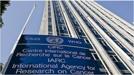 Haïti : Le cancer, nouveau fléau, selon une organisation internationale