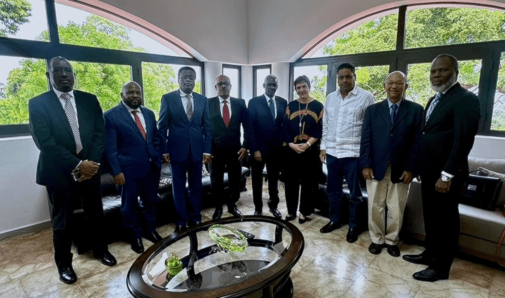 Le Conseil présidentiel de transition prend dictée des Nations Unies