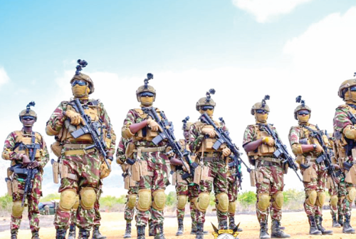 Les forces internationales ne vont pas se battre à moins qu’on les attaque, dixit le Conseil&nbsp;présidentiel