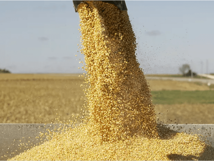 Les experts appellent à de nouvelles politiques agroalimentaires africaines