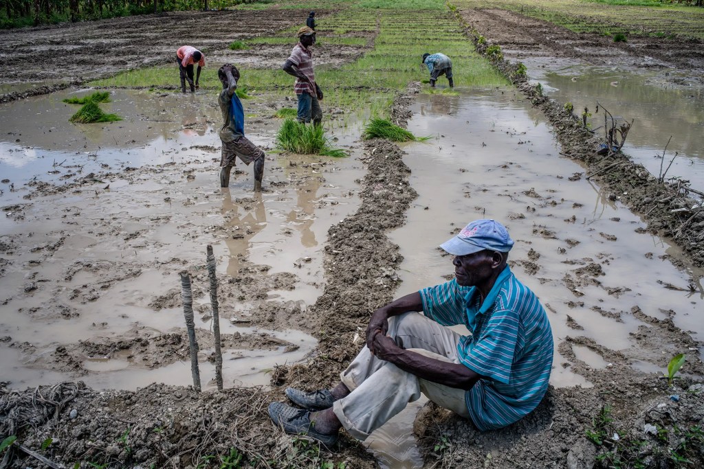 Bandits à Pont Sondé : Au moins un mort et 15&nbsp;blessés
