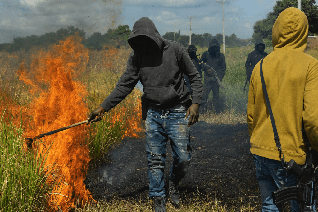 Artibonite : Les bandits armés affaiblissent la production&nbsp;nationale