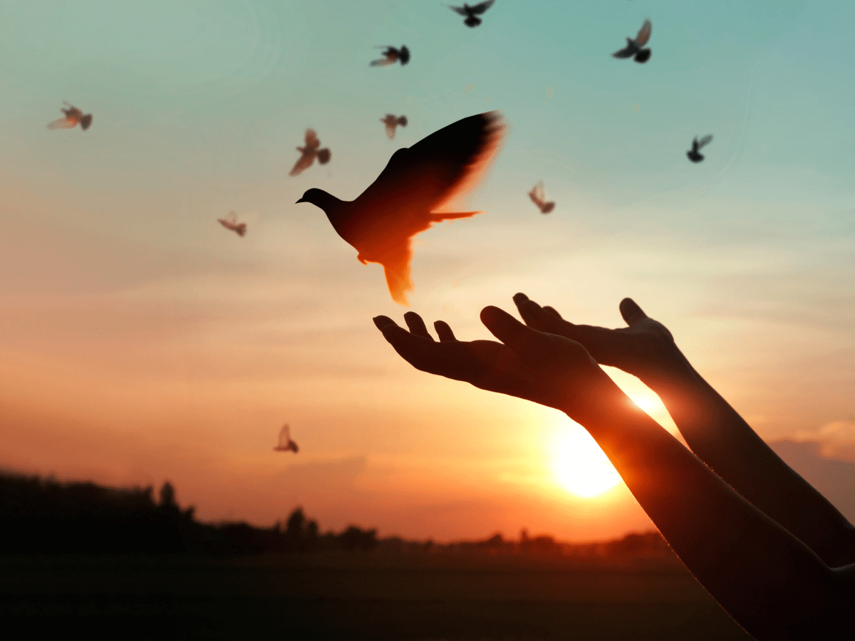 Prodige Association appelle à la paix en&nbsp;Haïti